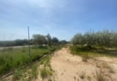 1011m² entrepôt pour vente à Montehermoso photo