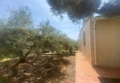 1011m² entrepôt pour vente à Montehermoso photo