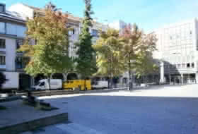 Foto 15