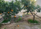 85m² commercial premises for sale in Periana photo