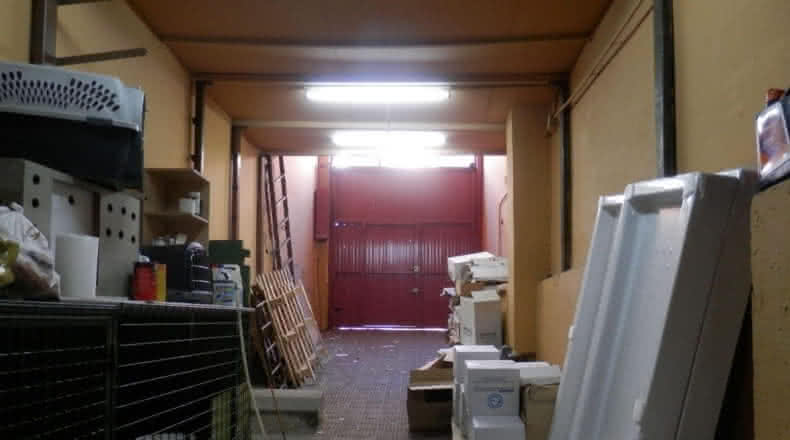 Locale