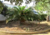  entrepôt pour vente à Valdepeñas photo