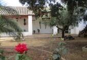 entrepôt pour vente à Valdepeñas photo