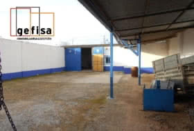 Foto 14