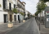 Oficinas en alquiler con 140m² en Lebrija foto