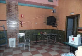 Foto 17