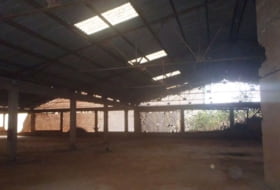 Foto 13
