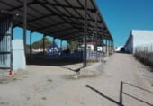 Restaurant
en venda
amb 300m² a La Puebla del Río foto