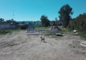 Restaurant
en venda
amb 300m² a La Puebla del Río foto