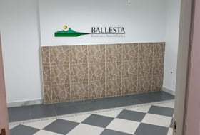 Foto 14