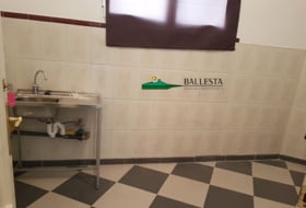 Foto 18