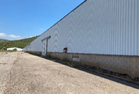 Foto 12