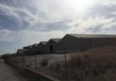 20000m² warehouse industrial for sale in Bechí photo