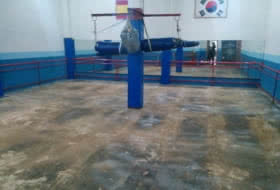 Foto 12