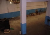 Local comercial en venta con 365m² en Pravia foto