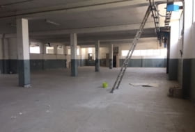 Foto 19