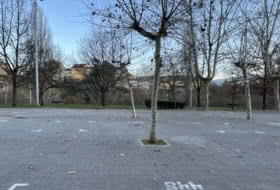 Foto 13