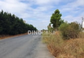 Nau Industrial
en venda
amb 800m² a Cartaya foto