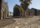 Restaurante en venta con 30000m² en Valverde foto