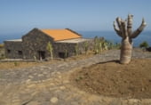 Restaurante en venta con 30000m² en Valverde foto