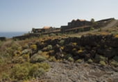 Restaurante en venta con 30000m² en Valverde foto