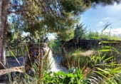 570m² hotel for sale in Tabernas, Lugar LOS ALBARDINALES, 5 photo