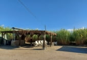 570m² hotel for sale in Tabernas, Lugar LOS ALBARDINALES, 5 photo
