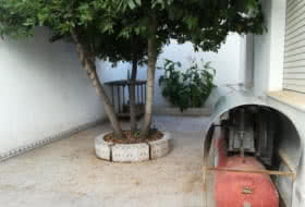 Foto 8