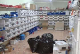 Foto 6