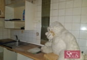 Local comercial en alquiler con 120m² en Oviedo foto