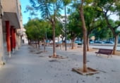 Restaurante en alquiler con 270m² en la Ràpita, Plaza CARLES III, 10 foto