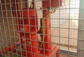 Foto 9