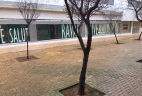 Foto 14