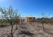 150m² entrepôt industriel pour vente à Huércal-Overa photo