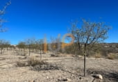 150m² entrepôt industriel pour vente à Huércal-Overa photo