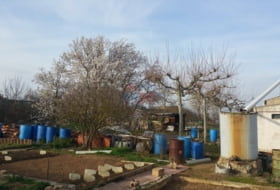 Foto 9