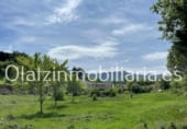 700m² locaux commerciaux pour vente à Medianas photo