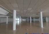  warehouse for rent in Caudete photo