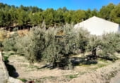 236m² entrepôt industriel pour vente à Jaén photo