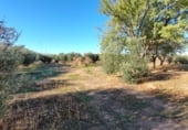 Hotel
en venda
amb 851m² a Santa Cruz de Mudela, nacional 4 km 220 foto