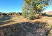 Hotel
en venda
amb 851m² a Santa Cruz de Mudela, nacional 4 km 220 foto