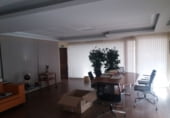 1008m² locaux commerciaux pour location à Valladolid photo