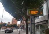 120m² commercial premises for rent in Valladolid, in the area of Caño Argales photo