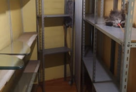 Foto 16