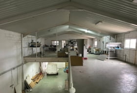Foto 3