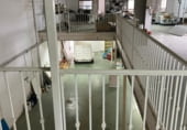 Nau
en venda
amb 700m² a Almonte foto