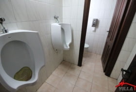 Foto 11