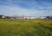 Nave Industrial en venta en Pepino foto