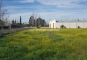 Nave Industrial en venta en Pepino foto