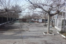 Foto 13